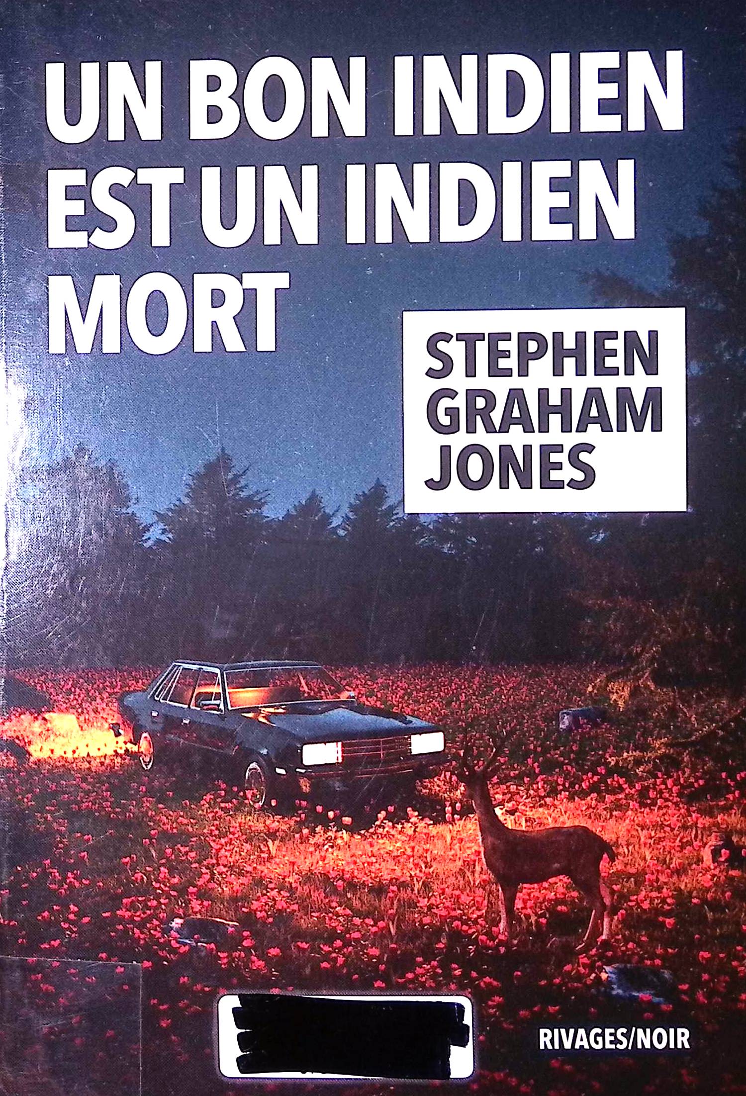 Image du produit IMG_2025_10_30_10_53_25S.jpg de l'association Lire et Créer, livres pas cher et de seconde main