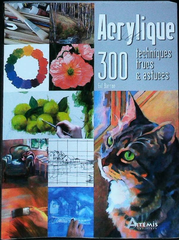 Acrylique, 300 techniques, trucs et astuces : livres pas cher d'occasion, de seconde main de l'association Lire et Créer