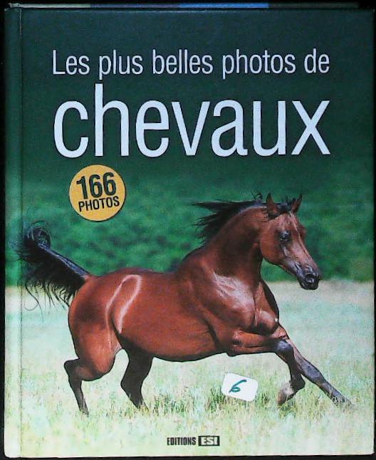 Les plus belles photos de chevaux : livres pas cher d'occasion, de seconde main de l'association Lire et Créer