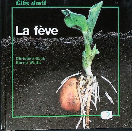 Image du produit IMG_0043.jpg de l'association Lire et Créer, livres pas cher et de seconde main