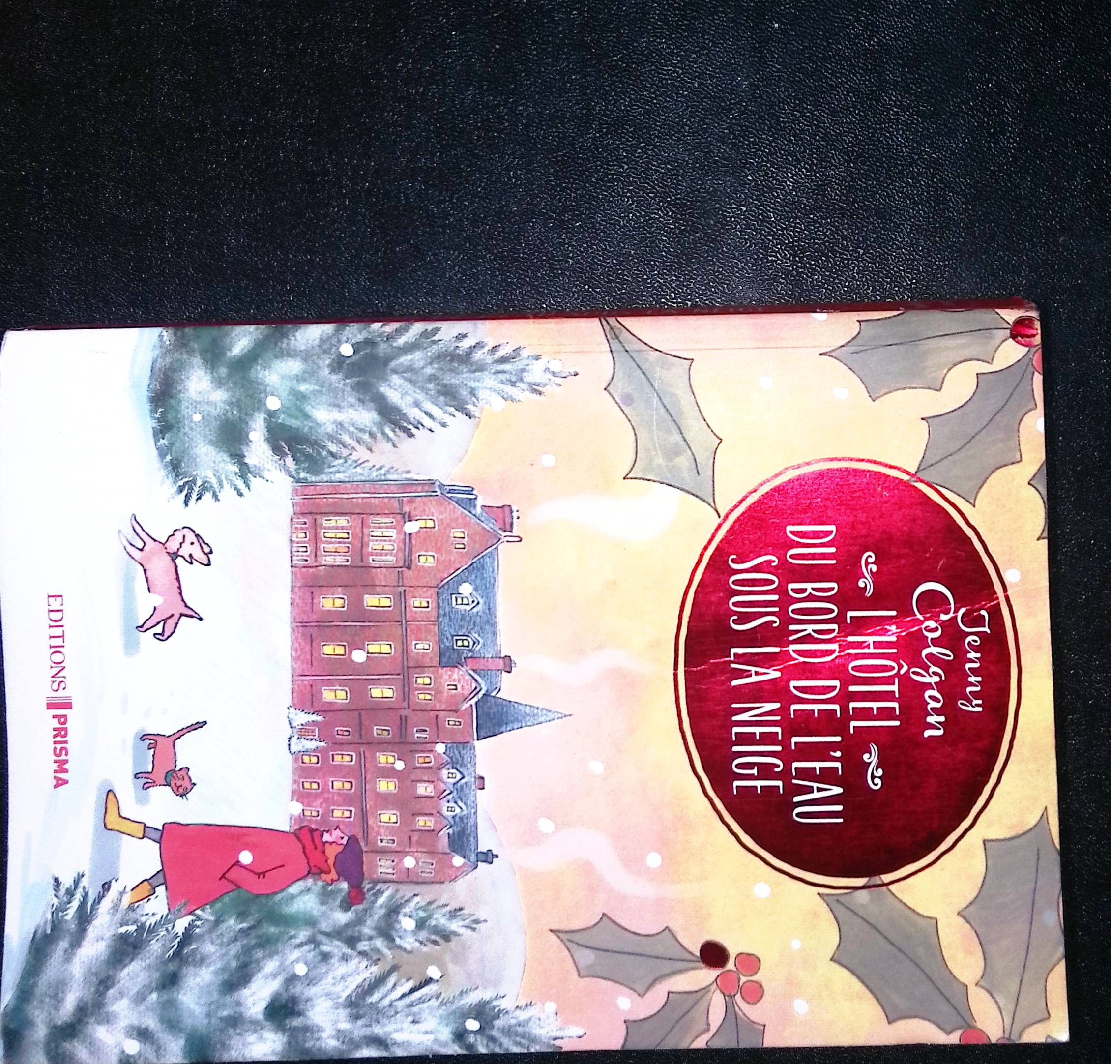 Image du produit IMG_2025_11_01_19_33_18S.jpg de l'association Lire et Créer, livres pas cher et de seconde main