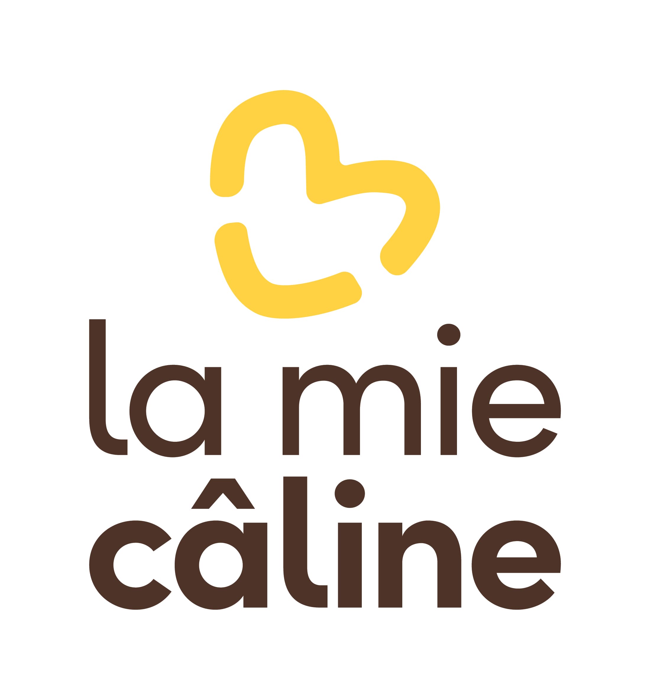 logo du partenaire de Lire et créer vente de livre d'occasion : SARL LA SAVOYARDE